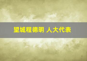 望城程德明 人大代表